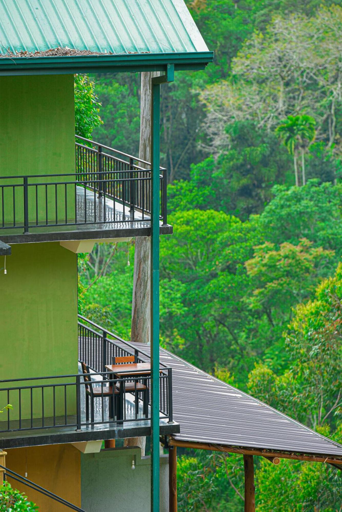 Tea Hills Ella Hotel Buitenkant foto